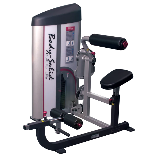 Dual Ab/Back, Freestanding, w/ 235 lbs Stack