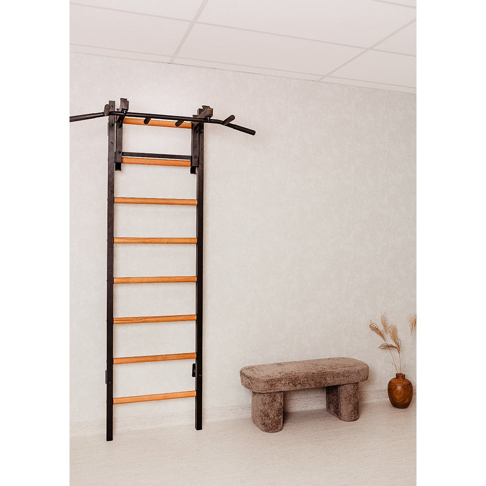 BenchK 231B Black Wall Bars